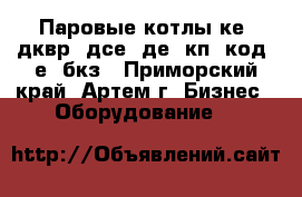 Паровые котлы ке, дквр, дсе, де, кп, код, е, бкз - Приморский край, Артем г. Бизнес » Оборудование   